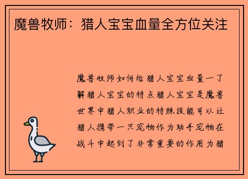 魔兽牧师：猎人宝宝血量全方位关注